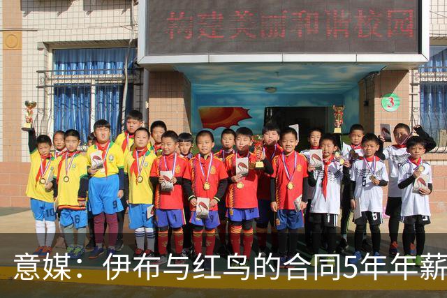 意媒：伊布与红鸟的合同5年年薪100万欧，职责除了竞技还涉及商业